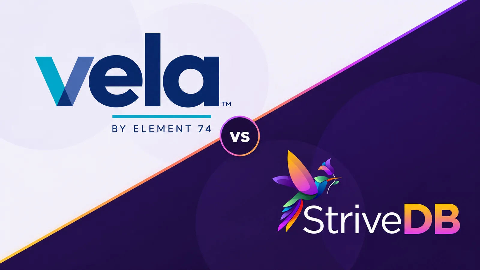 Vela Alternatives for Victim Service Providers: Vela vs. StriveDB