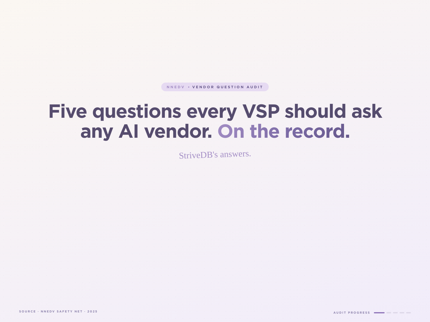 NNEDV's five vendor questions for AI in victim services, with StriveDB's answer to each: no training, encrypted storage, opt-in, compliant, and no memory.